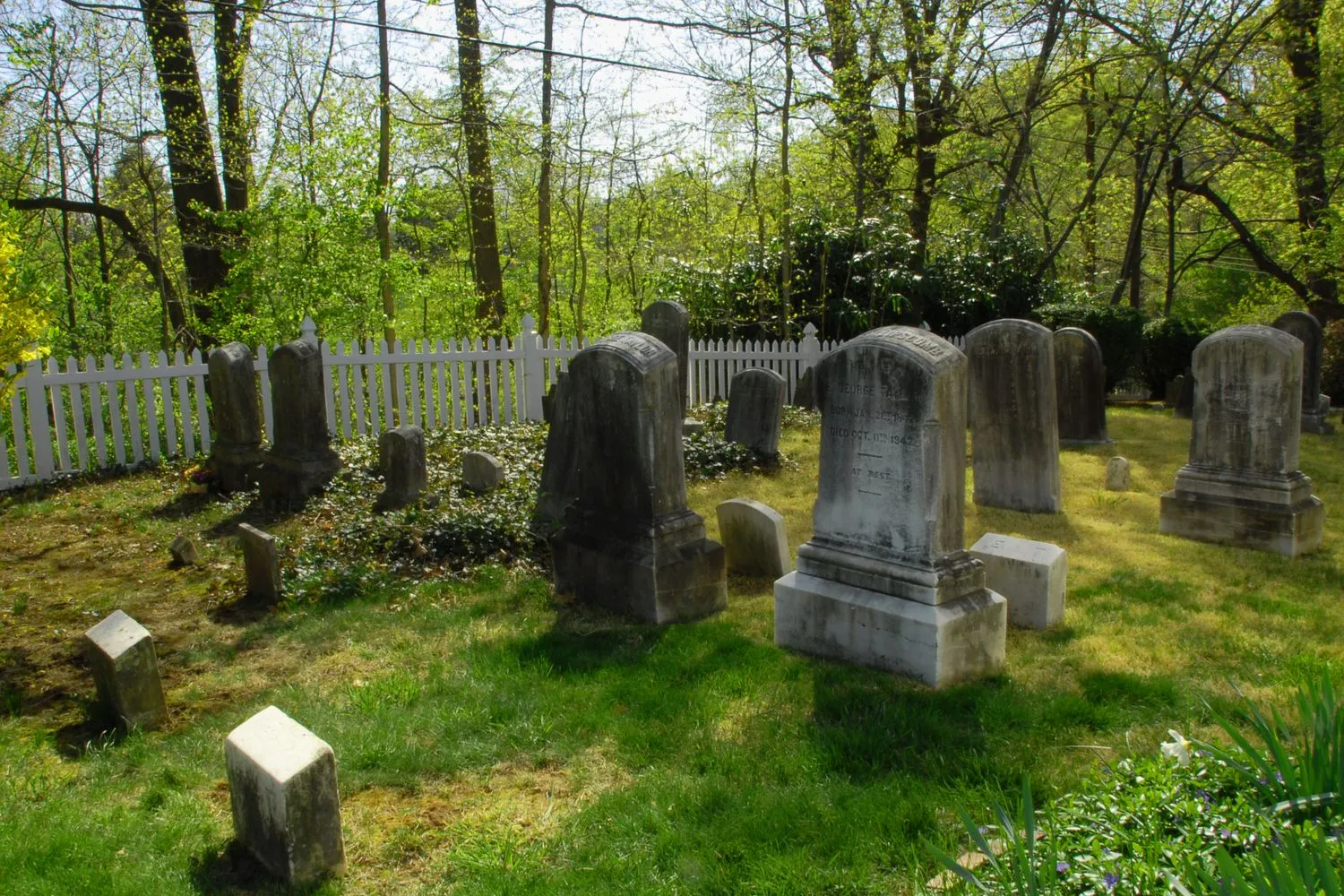 Taylor's Chapel photo 6